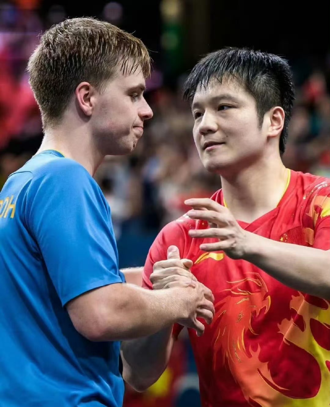 奥地利队绝杀德国队,樊振东扛起全队 奥地利队绝杀德国队,樊振东扛起全队