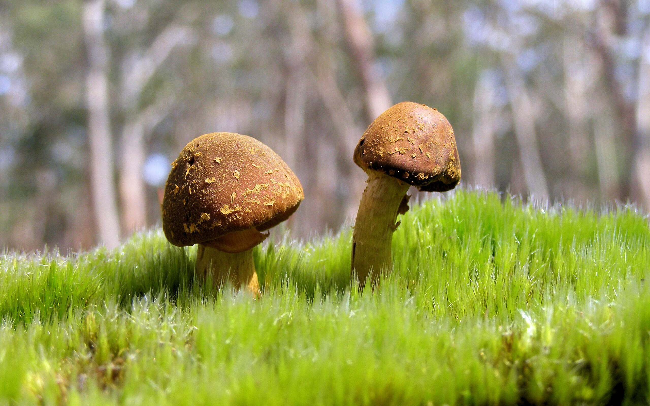 开云体育官网-跨越时空的宿敌，当2016年的骑士在想象中决战马刺