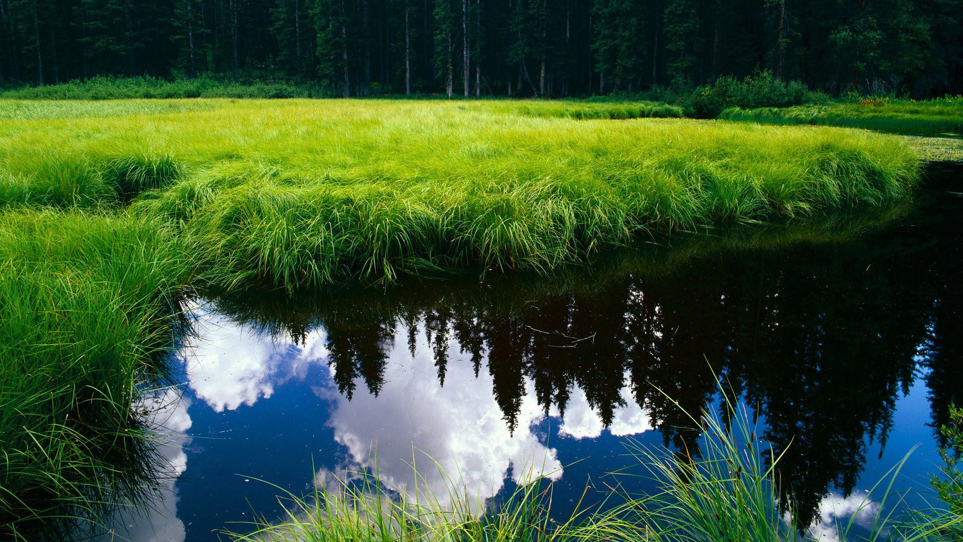 开云体育2026-教科书级别的定海神针，浓眉如何用无可争议的防守为湖人锁定胜局