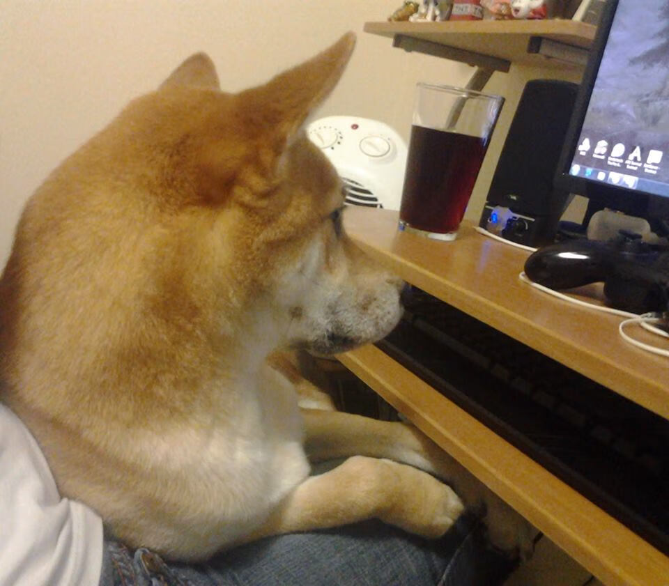 开云体育官网-布伦森，攻防转换发动机，奇才体系在他面前崩塌