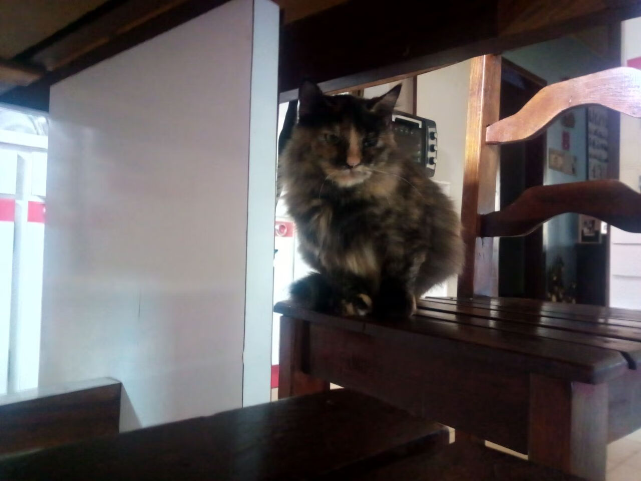 开云体育在线-宿命之战，当圣塞巴斯蒂安的潮水吞没伊比利亚的余晖