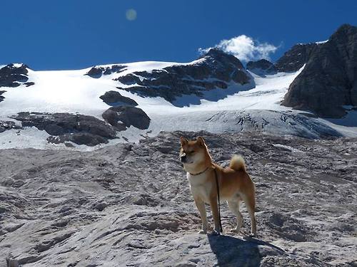 开云体育app-萨拉赫的里昂之夜，当法老之魂降临法兰西