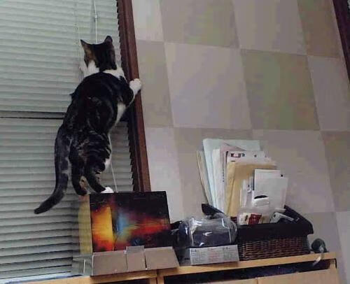 开云体育中国-70分狂澜与铁蹄碾碎，当个人神迹遭遇团队洪流