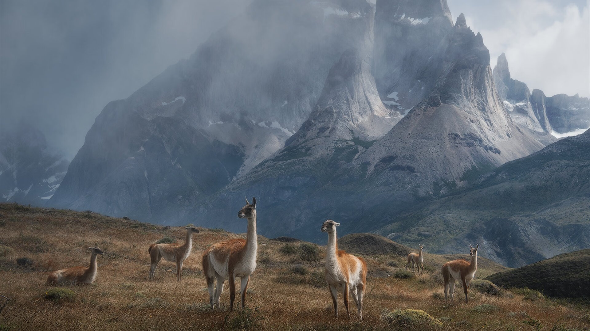 开云体育在线-虚界之巅，西决生死战焦点战中，迈阿密热火以超越次元的巅峰对决，胜出深圳新世纪烈豹
