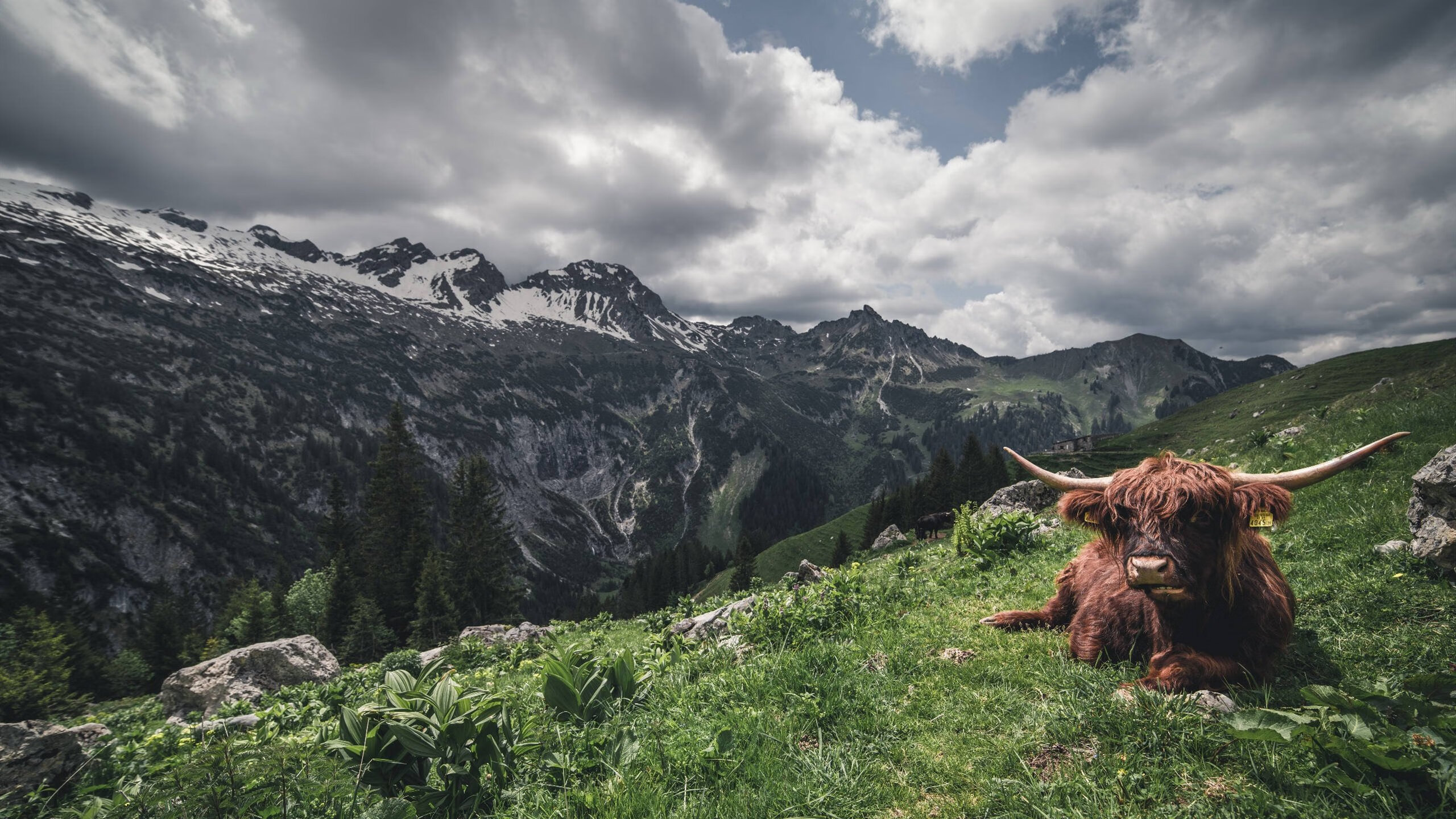 从北京队到费城心脏，冷门与王者的篮球启示录