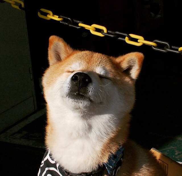 东决关键战之夜,冰与火的对决中,米切尔数据全面引爆球场