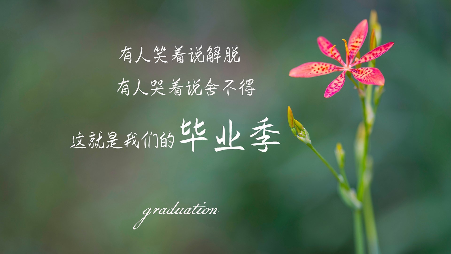 当德国心脏为日本跳动，京多安教科书式表现背后的身份革命
