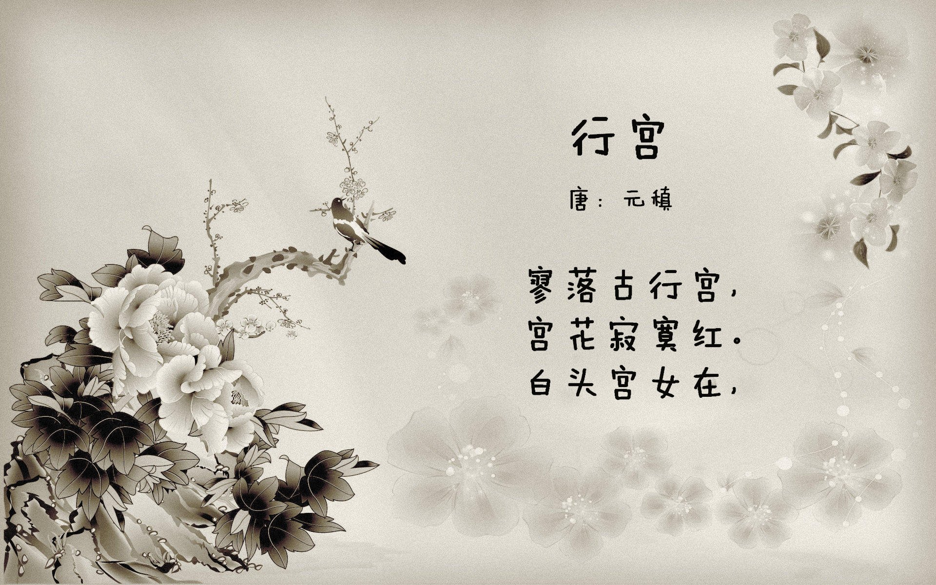 风暴眼,国家德比夜,切特的关键回合定律