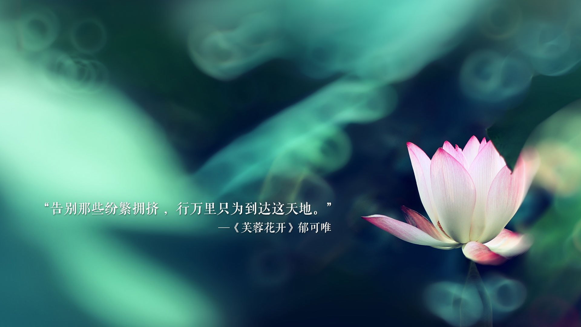 巅峰盛宴，国王队新疆决胜局，爱德华兹年度封神一战