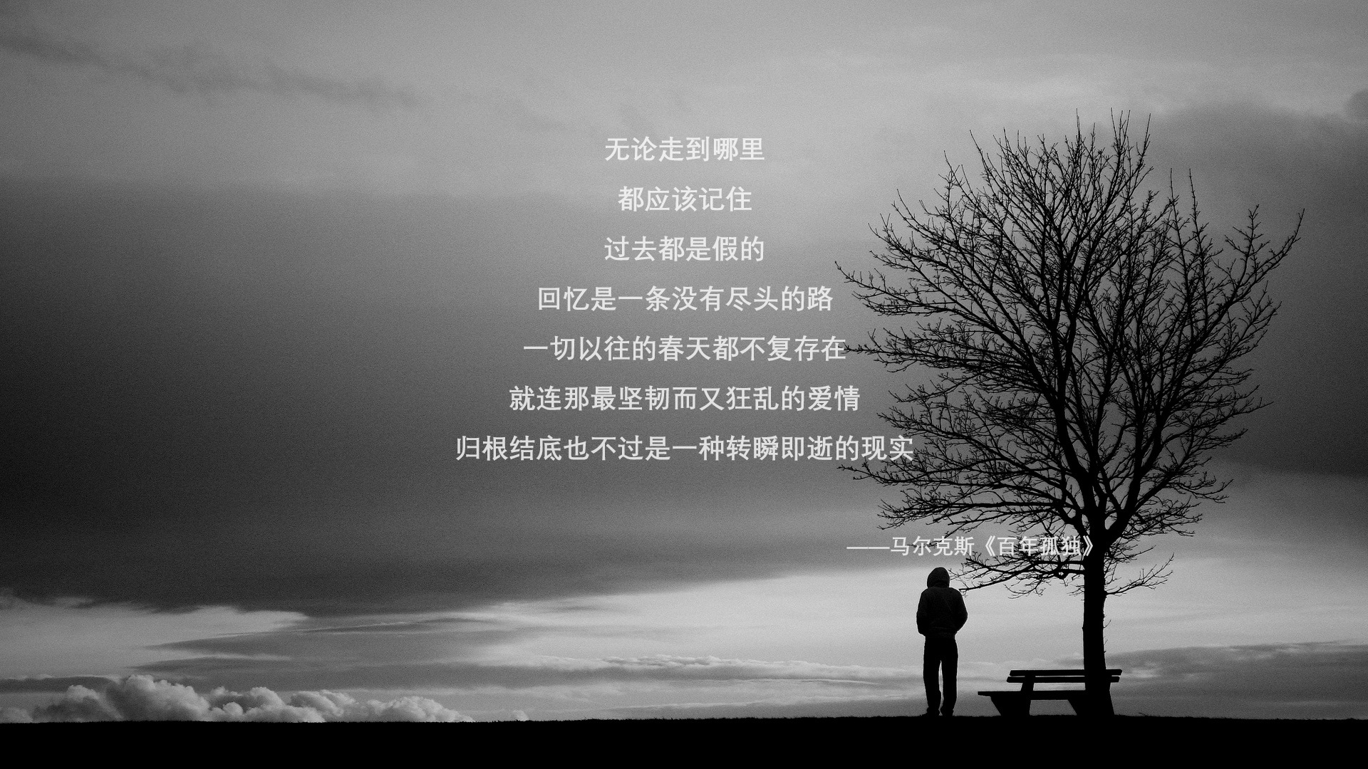 双重身份,当托纳利带着匈牙利的灵魂,撞上美国梦的钢铁意志