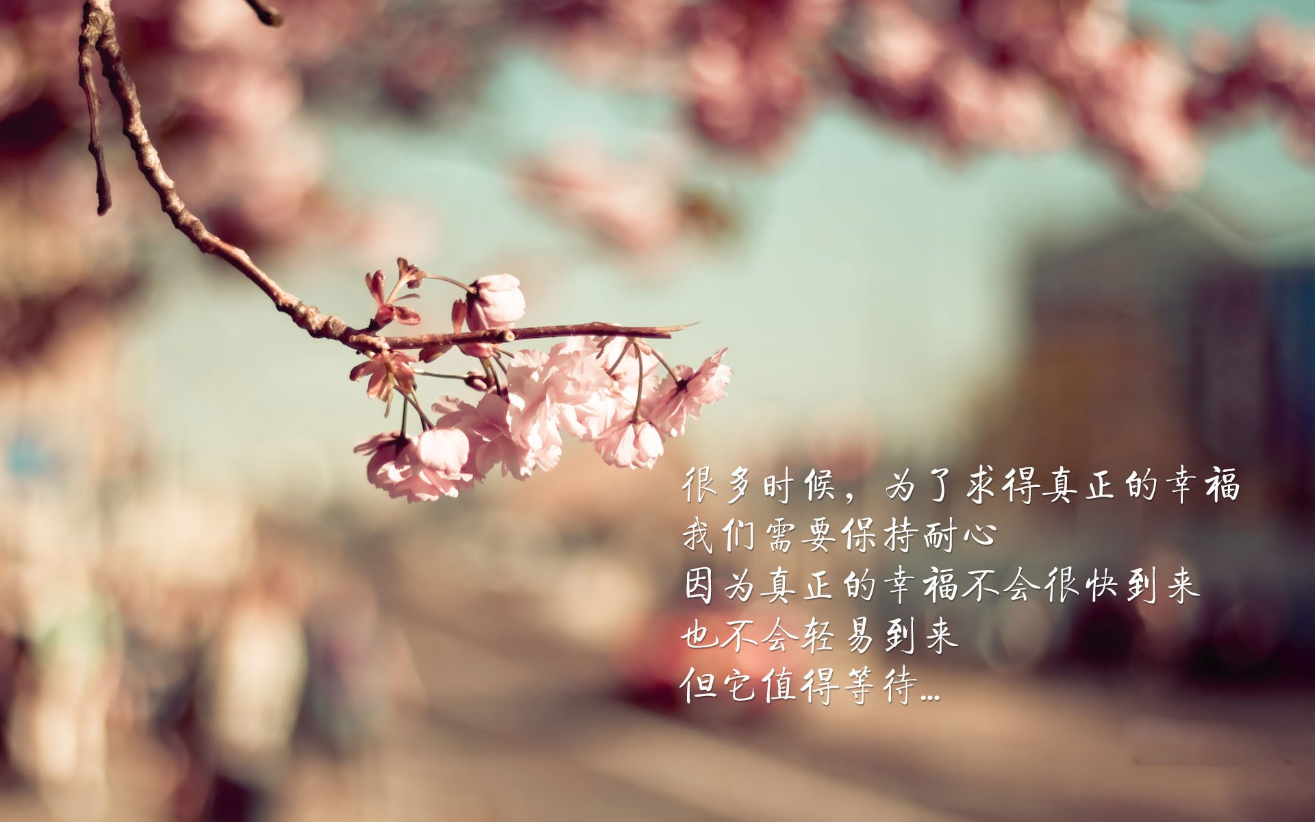 开云体育在线-以下是为您构思的标题和文章