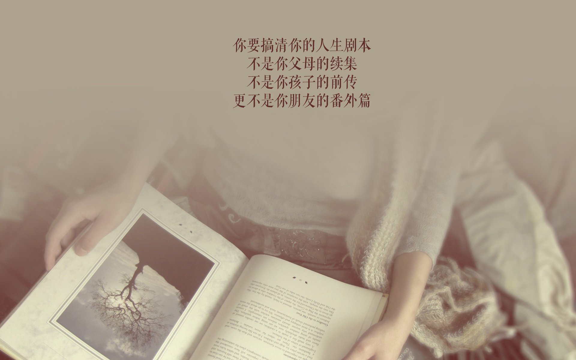 致命蓝武士,孤胆英雄—2026世界杯B组焦点战,日本绝杀葡萄牙,凯恩虽败犹荣