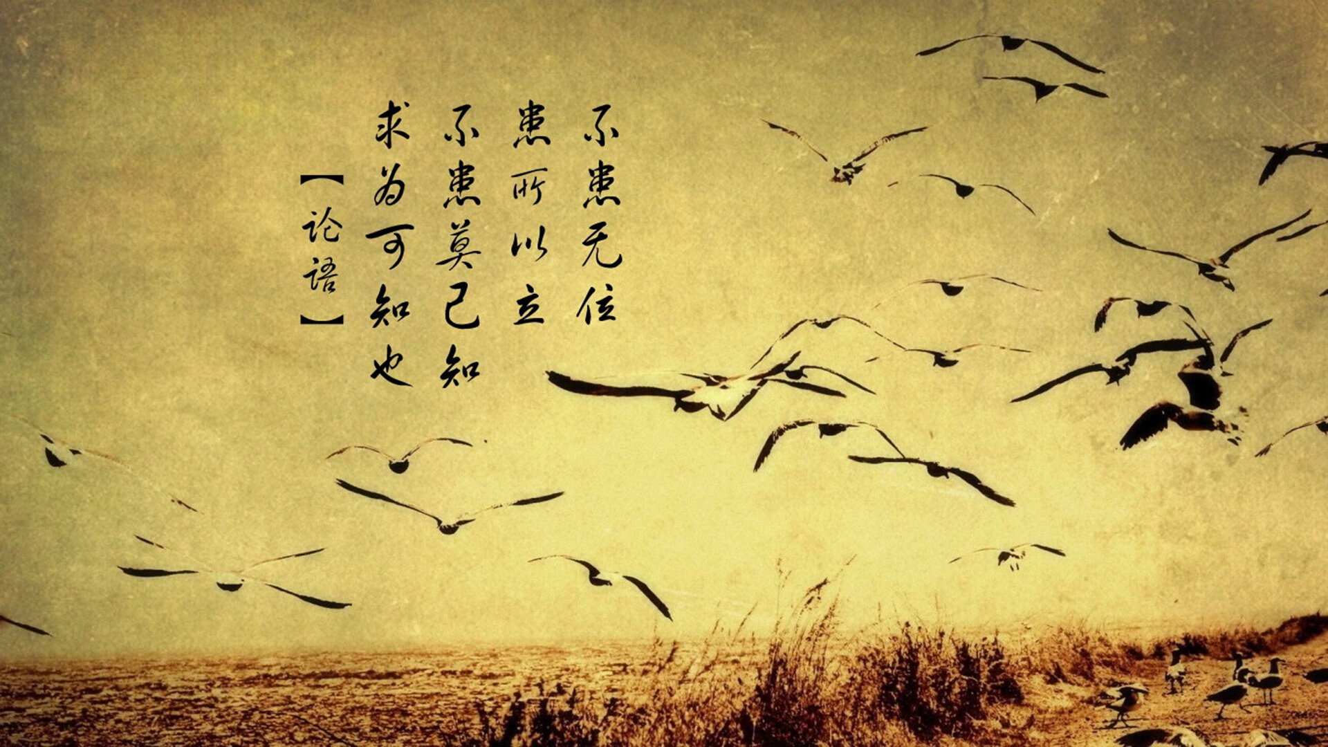 中场魔术师的独裁时代,德容如何用一脚传球定义2026世界杯D组生死战?